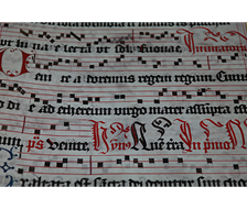 Ancient Manuscripts Display
