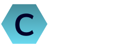 Technology Software Firm Pro