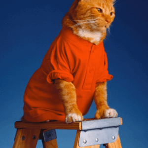 Dog Nutritionist Food